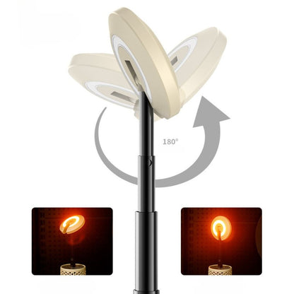 Twilight Ascent Lamp